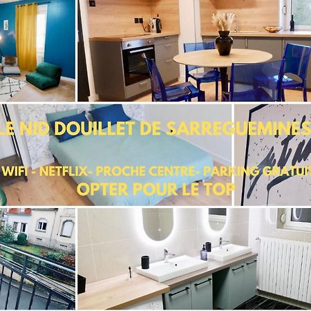 Apartamento Le Nid Douillet De Sarreguemines Exterior foto