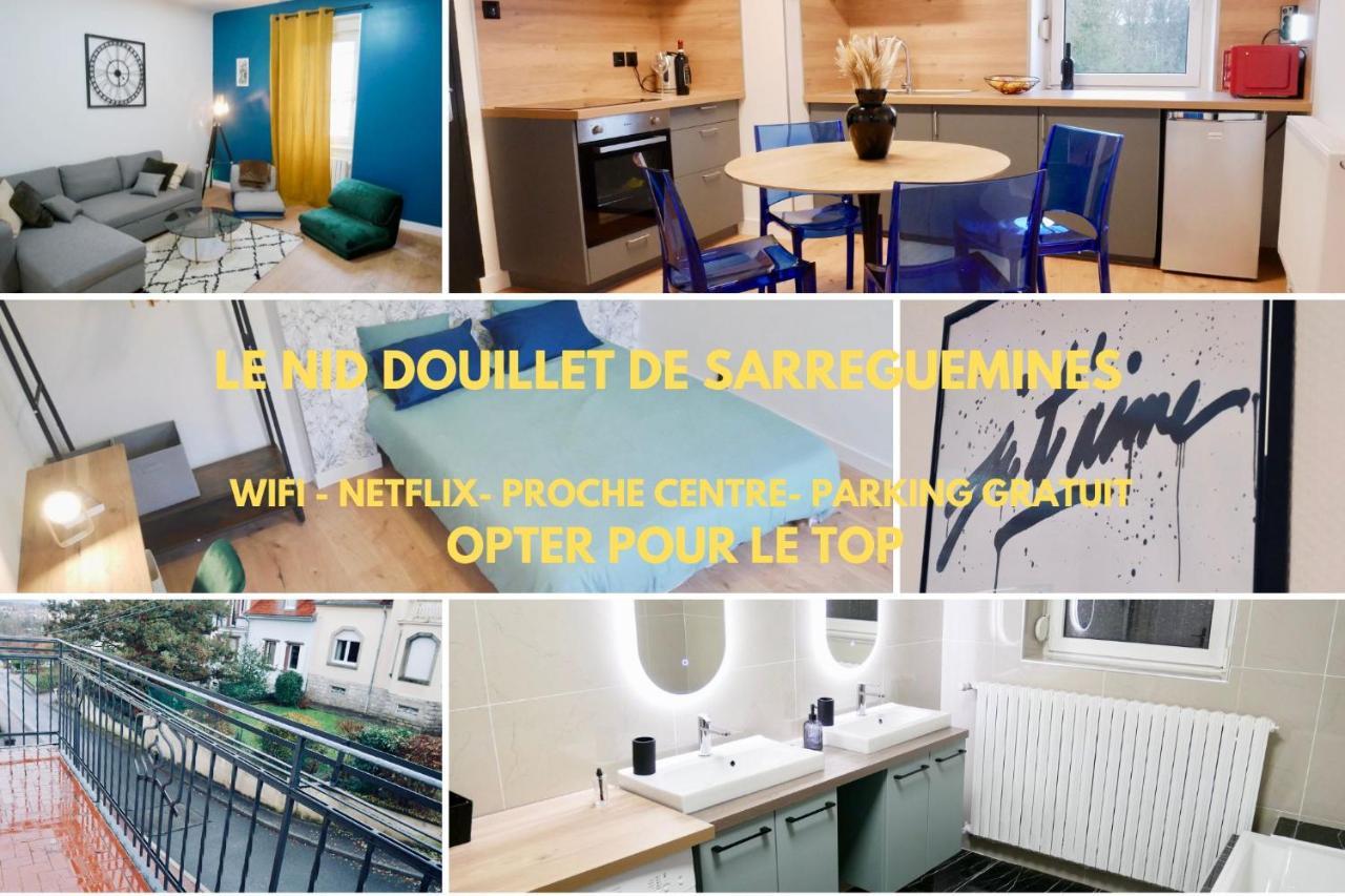 Apartamento Le Nid Douillet De Sarreguemines Exterior foto